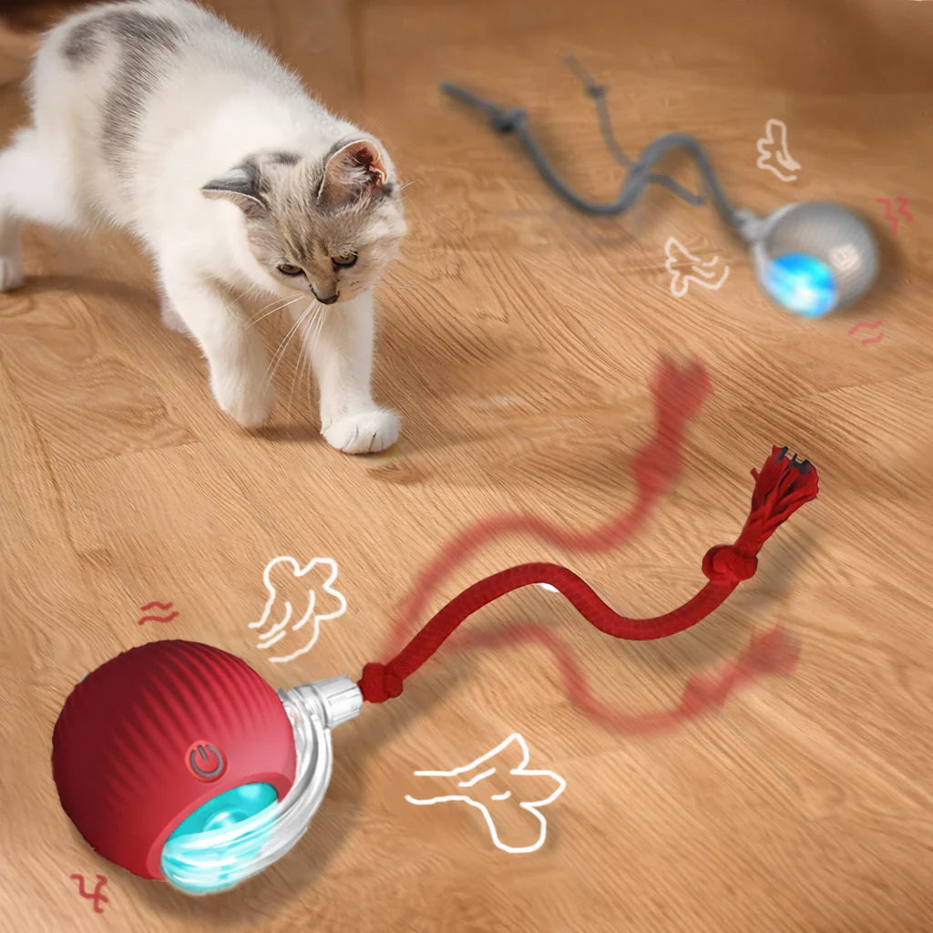 Interactive Cat Ball Toy with LED Light & Teaser Tail
