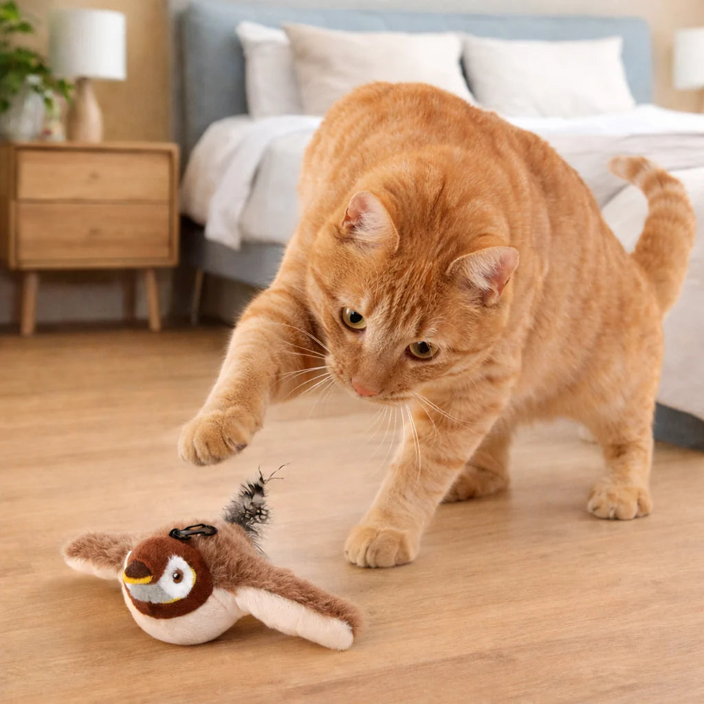 Interactive Bird Toy for Cats
